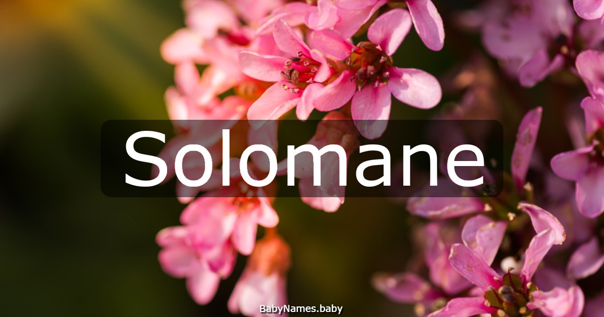 Solomane