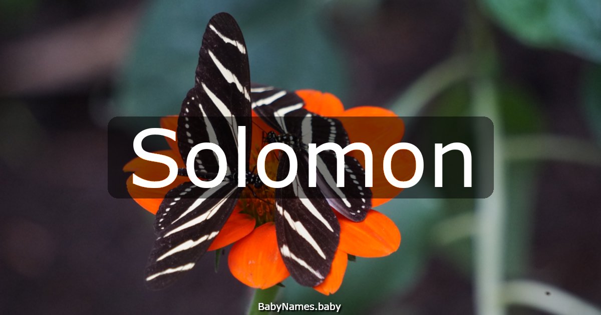 Solomon