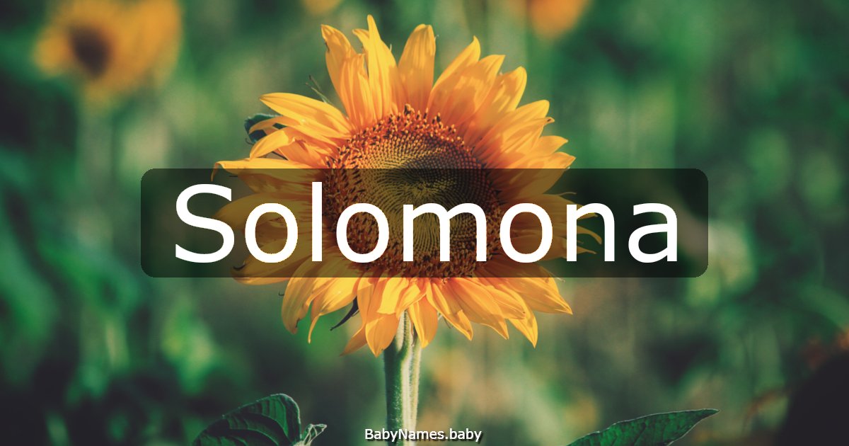 Solomona