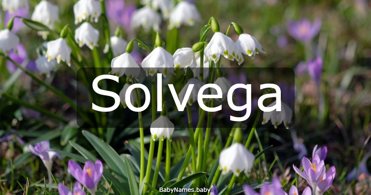 Solvega