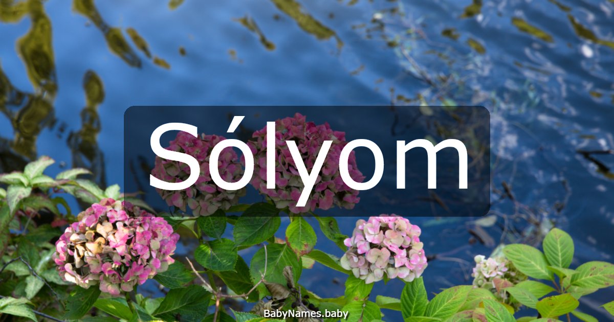 Sólyom
