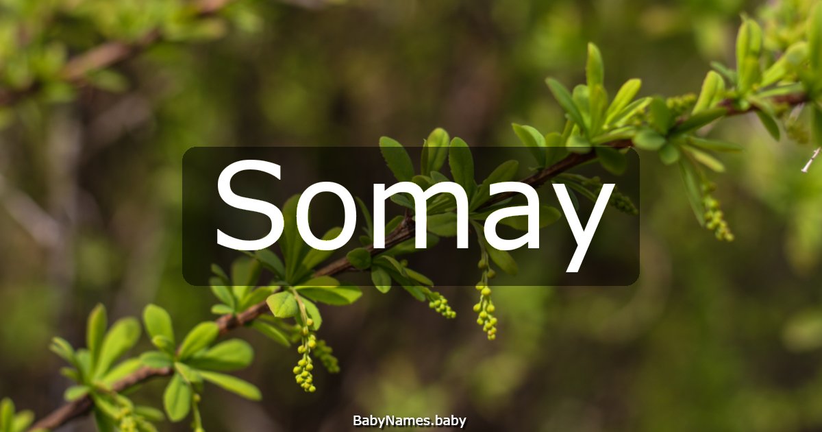 Somay