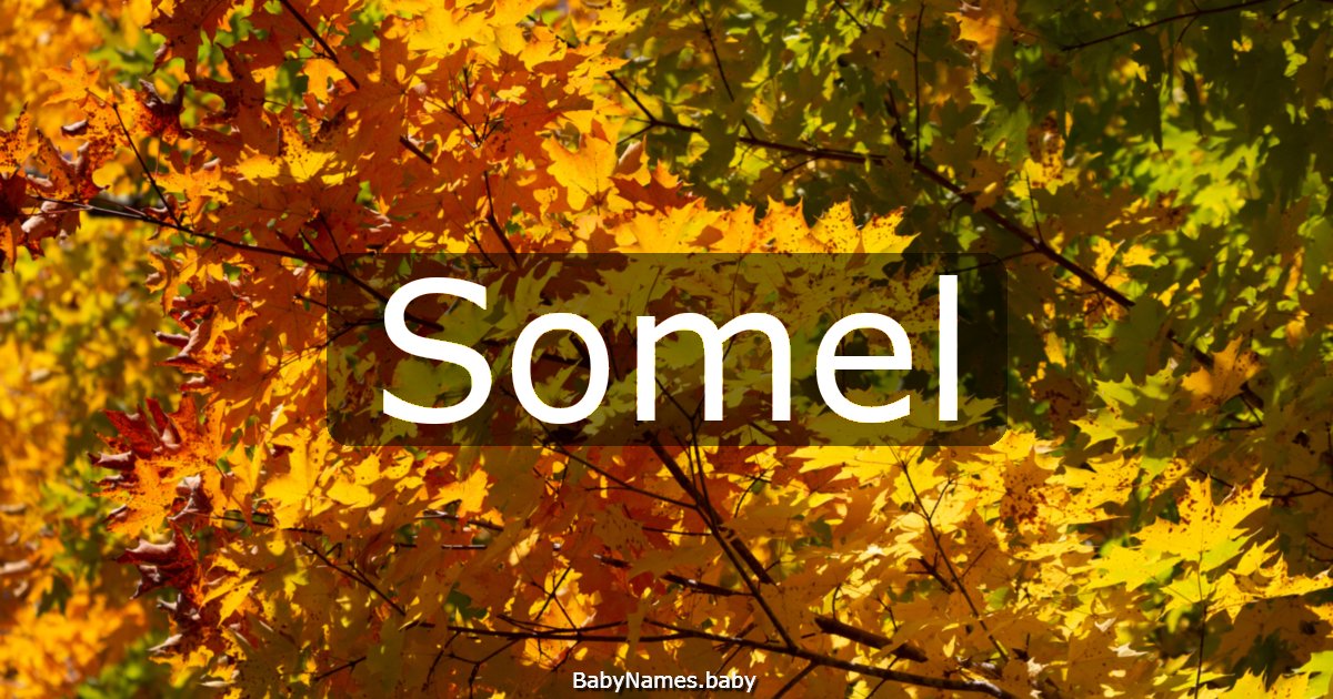 Somel