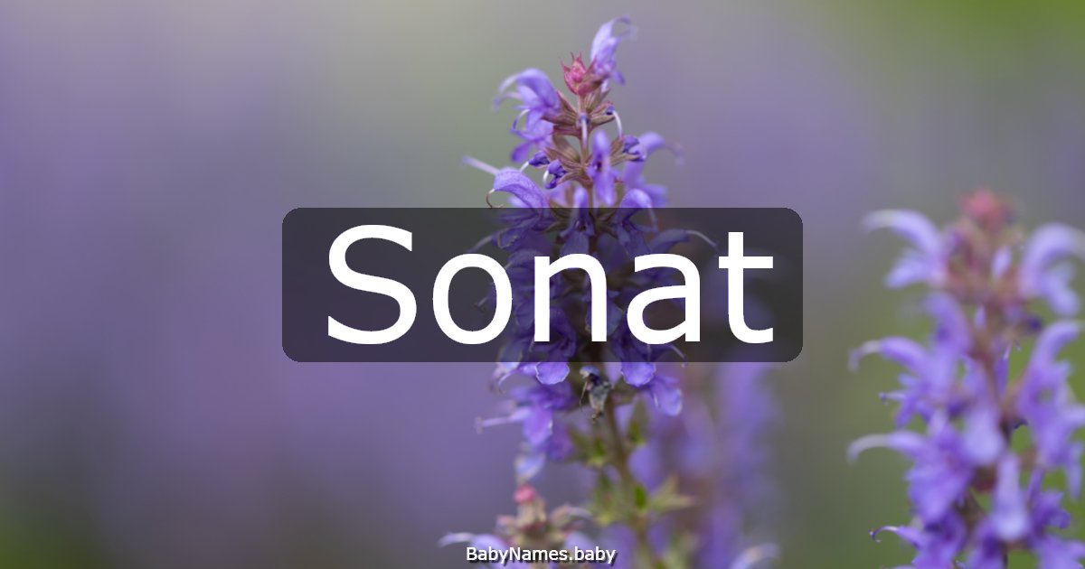 Sonat