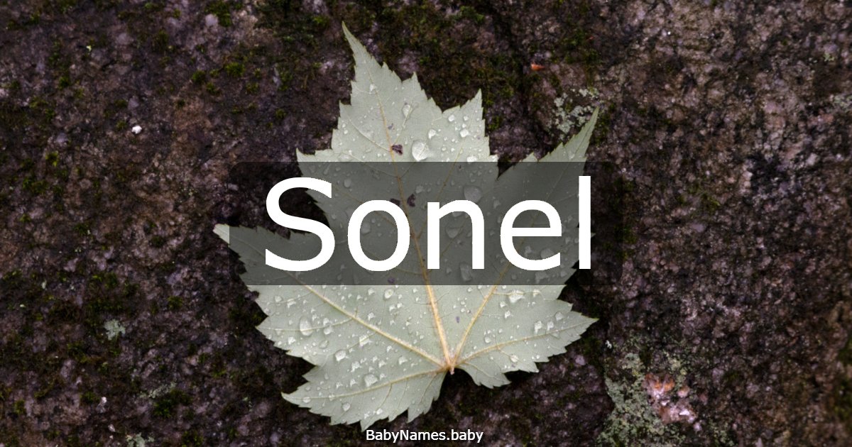 Sonel