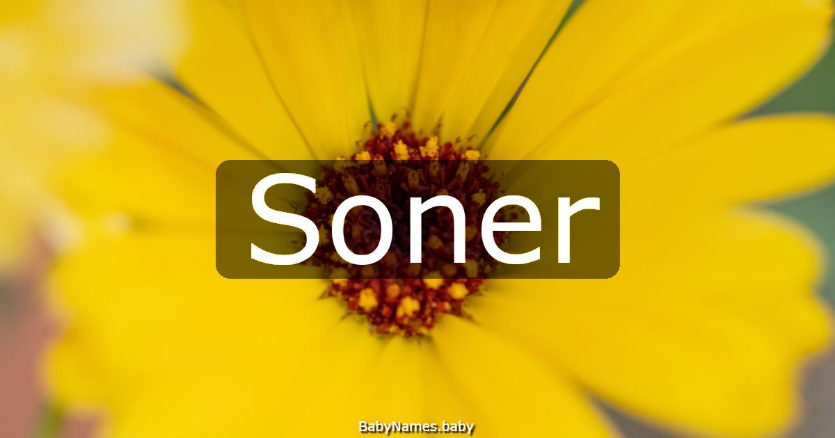 Soner