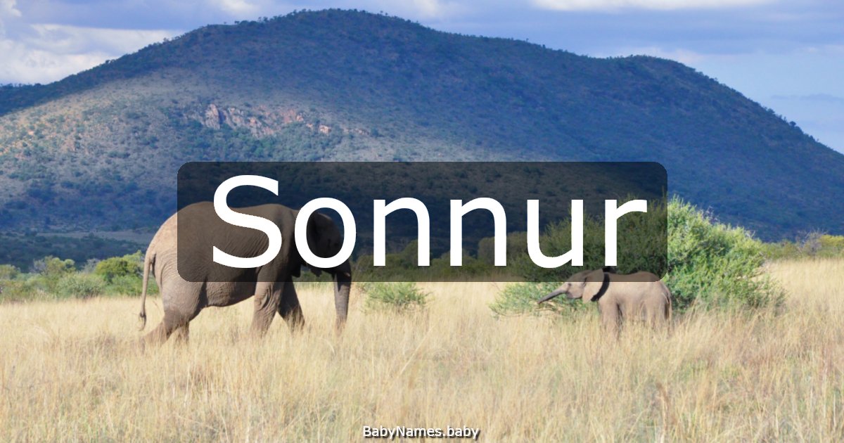 Sonnur