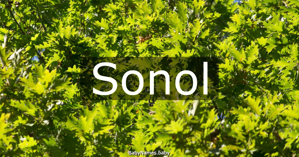 Sonol