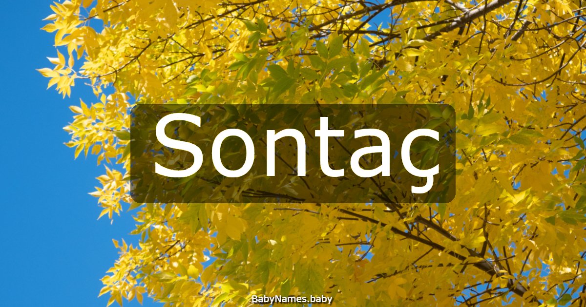 Sontaç