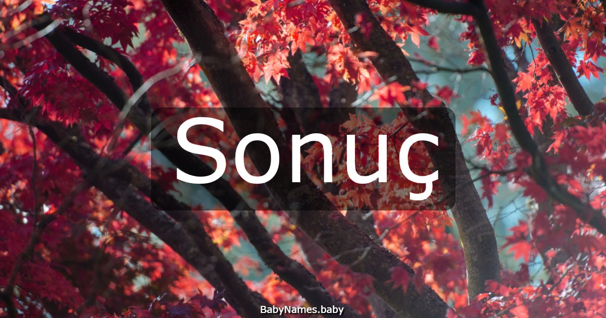 Sonuç