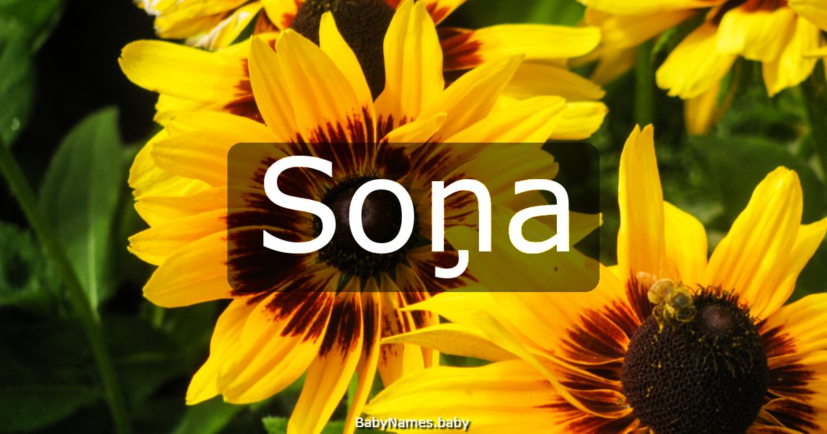 Soņa