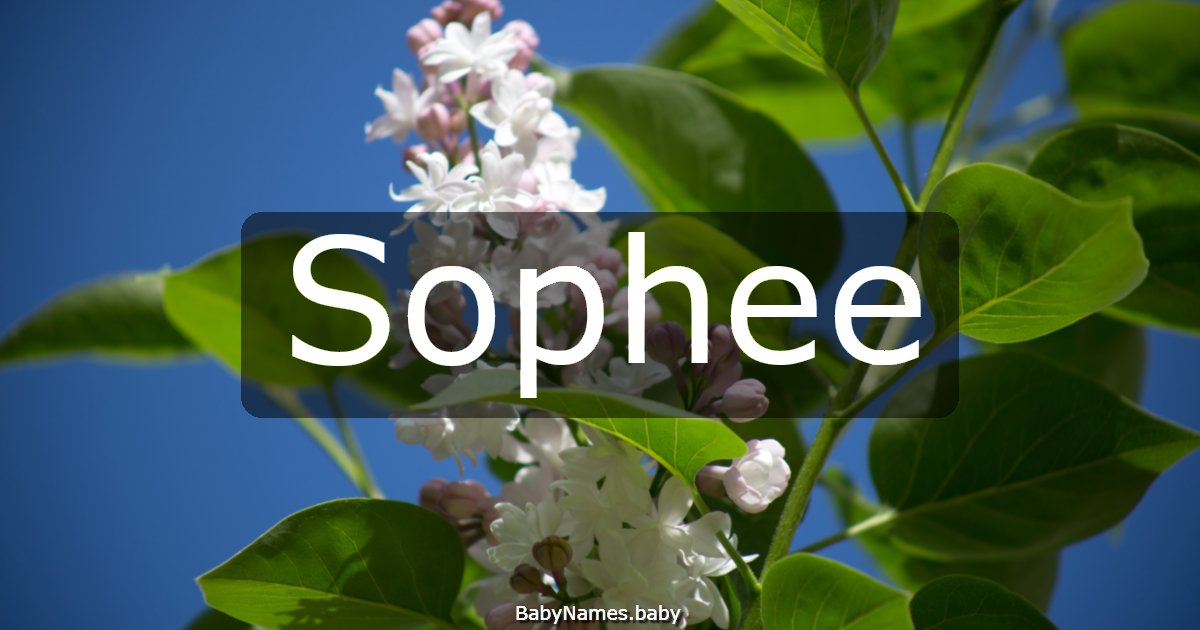 Sophee