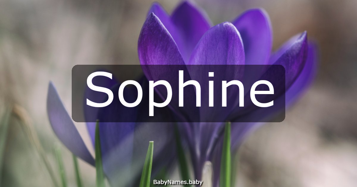 Sophine
