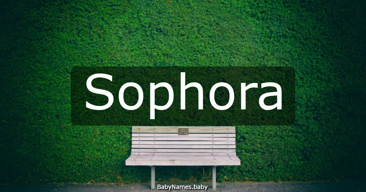 Sophora