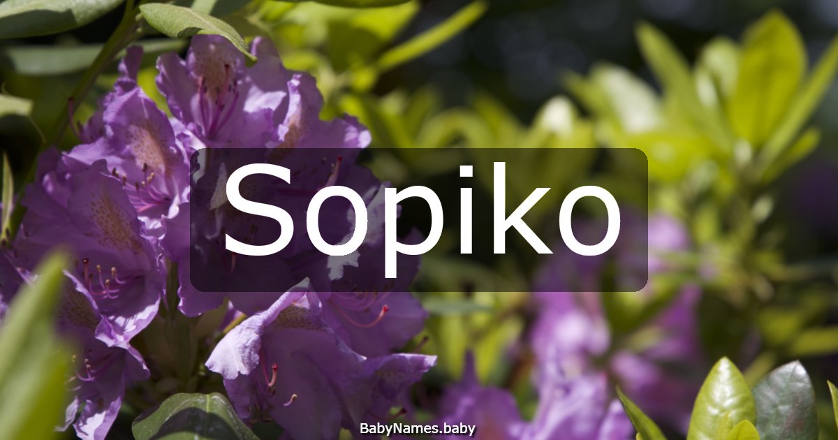 Sopiko
