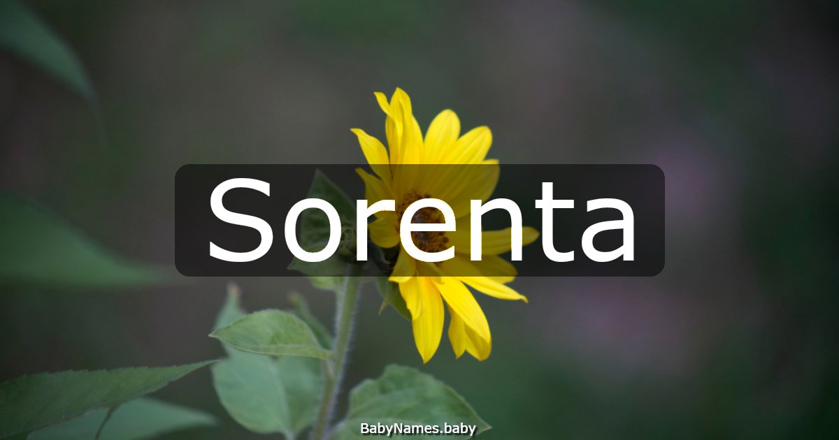 Sorenta