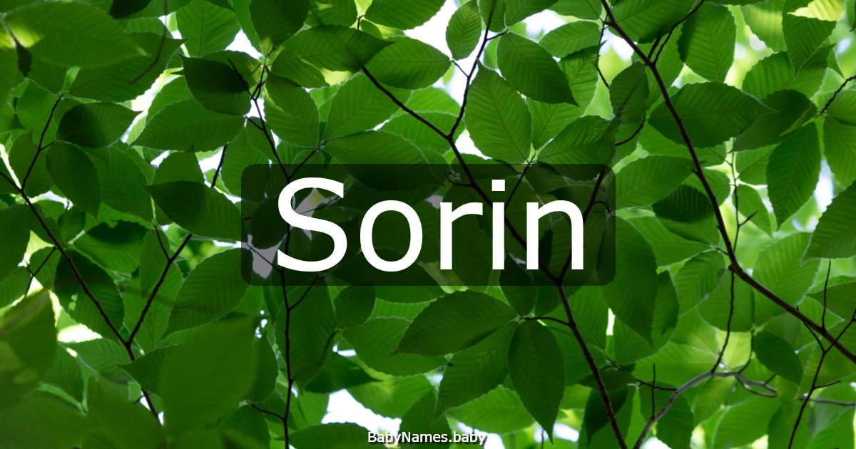 Sorin
