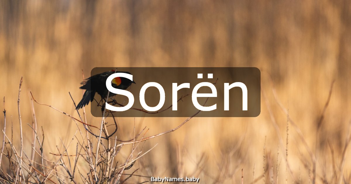 Sorën