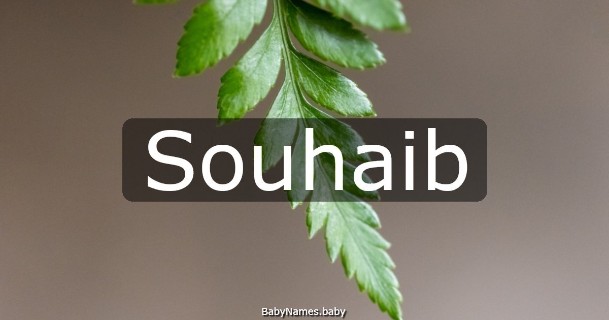 Souhaib