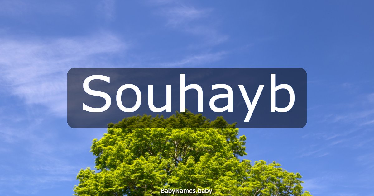 Souhayb