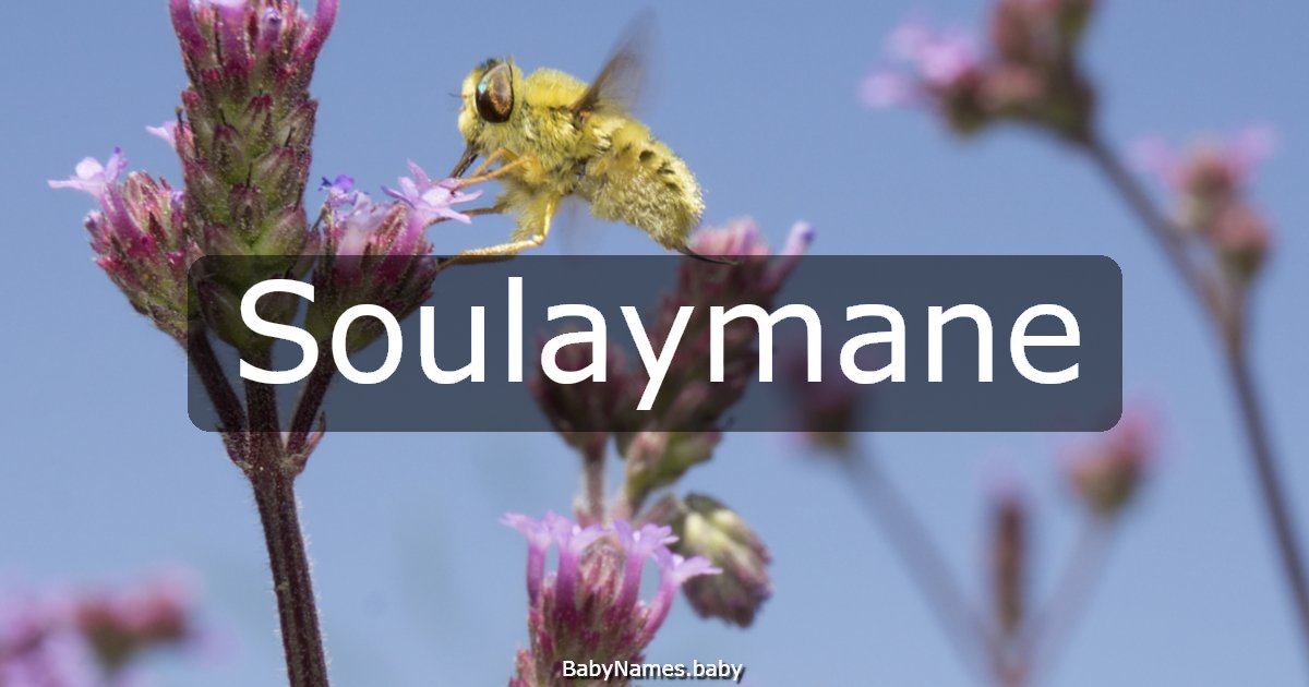 Soulaymane