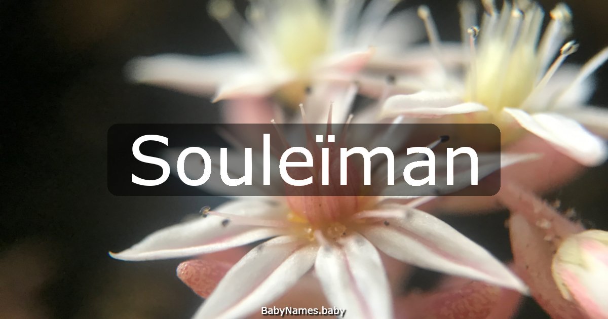 Souleïman