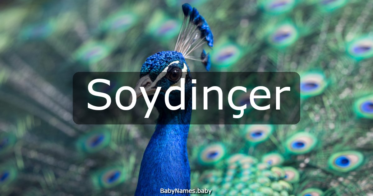 Soydinçer