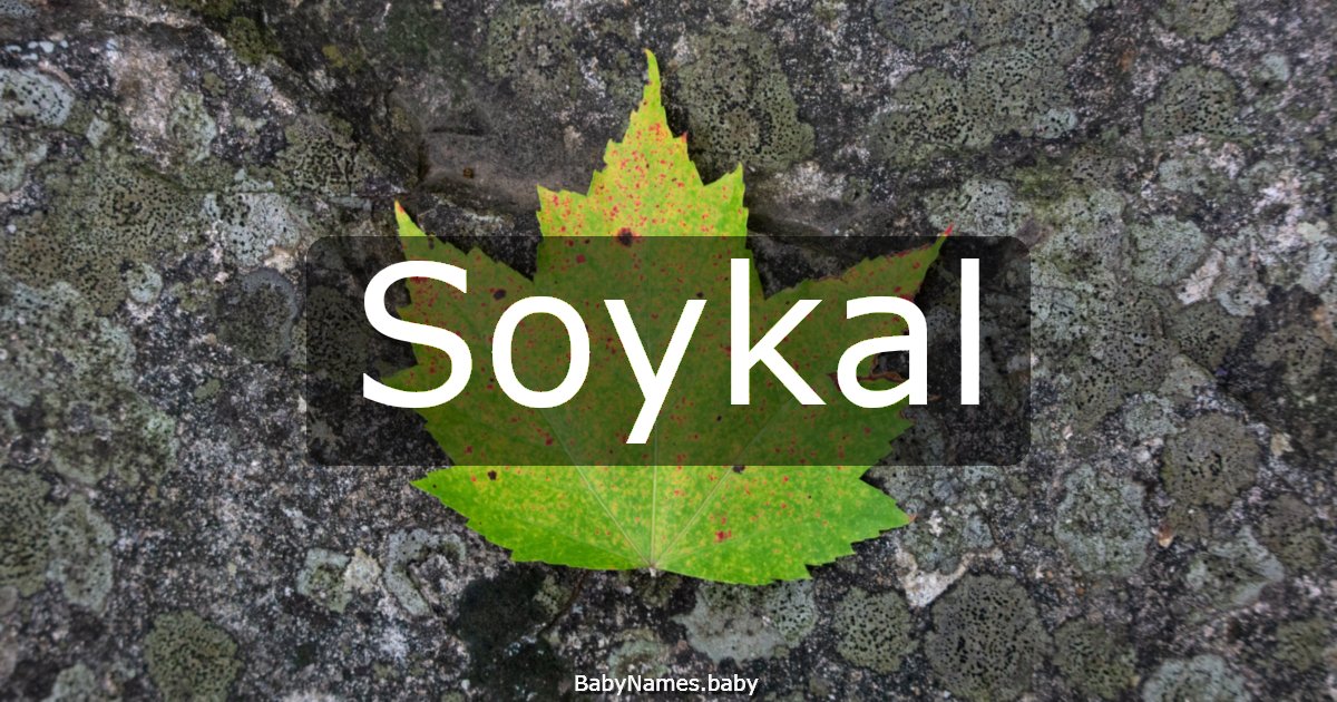 Soykal