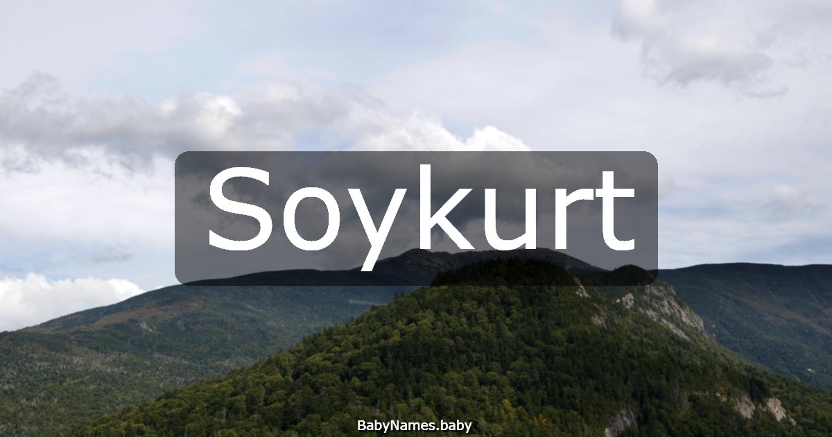 Soykurt