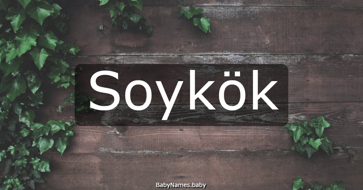 Soykök