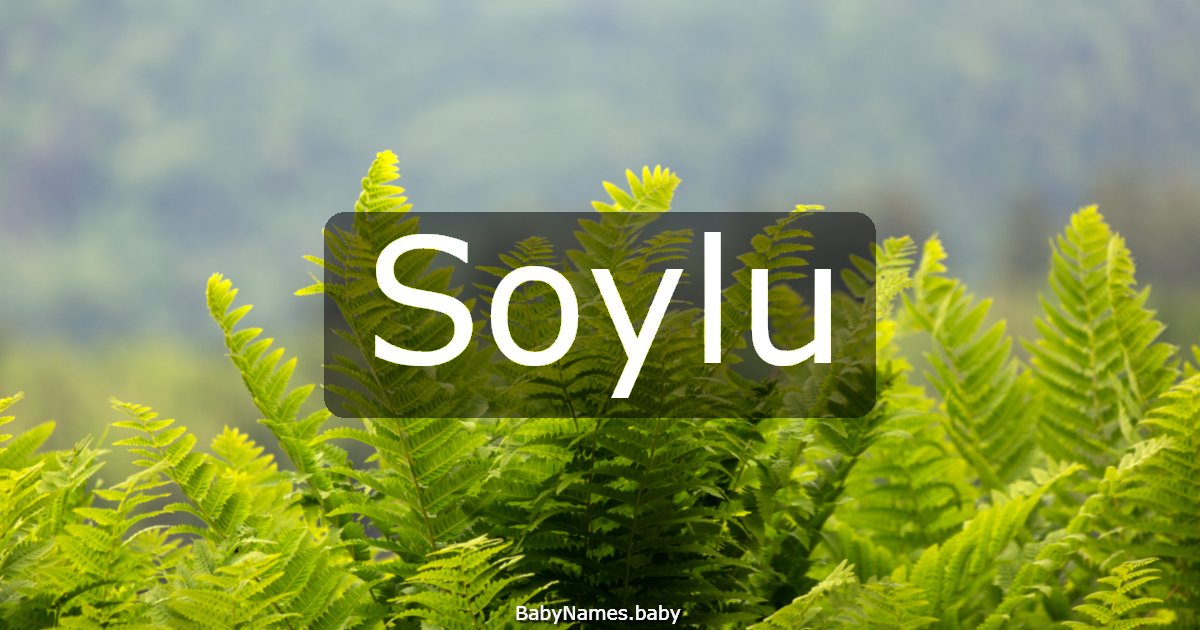 Soylu