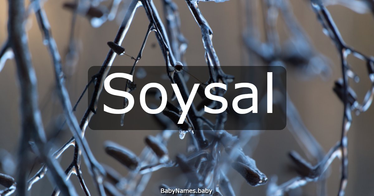 Soysal