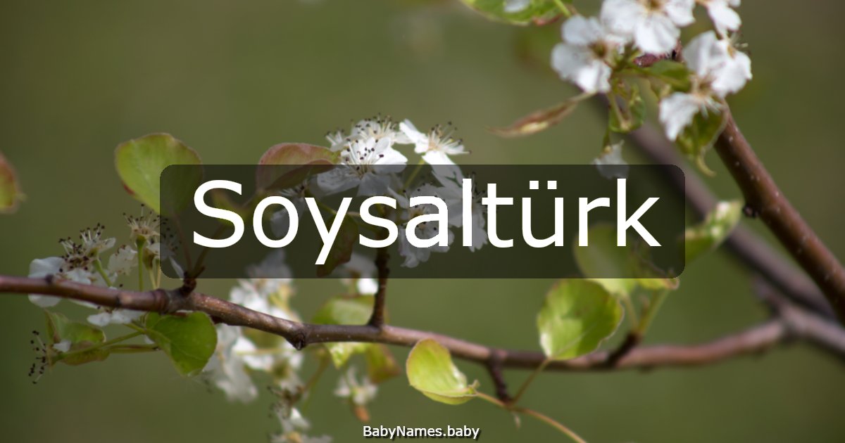 Soysaltürk