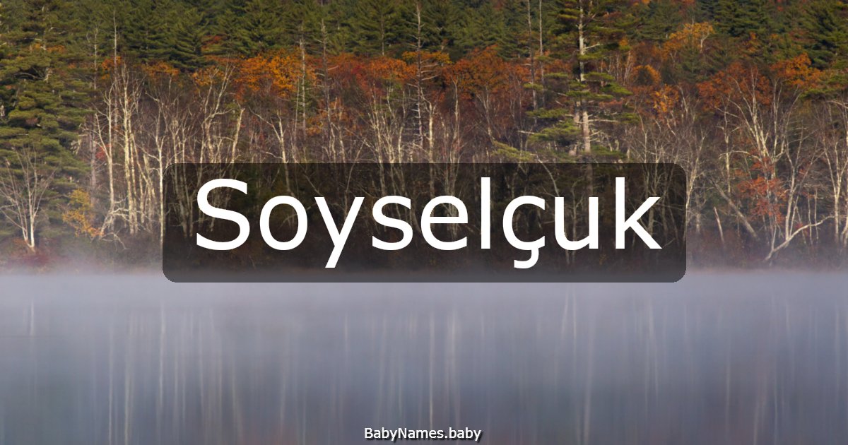 Soyselçuk