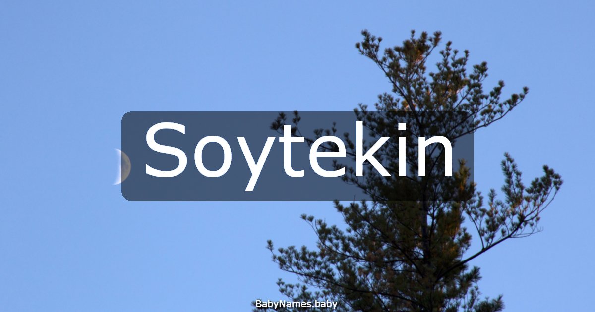 Soytekin