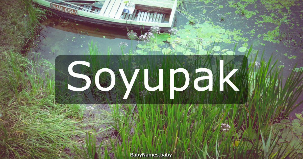 Soyupak