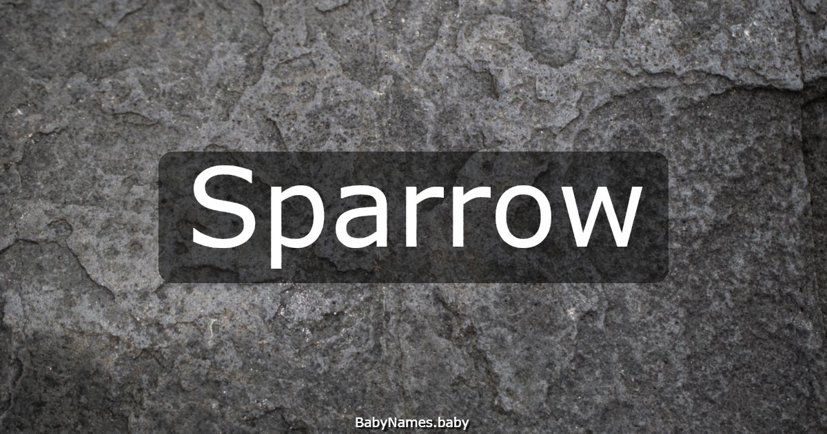 Sparrow