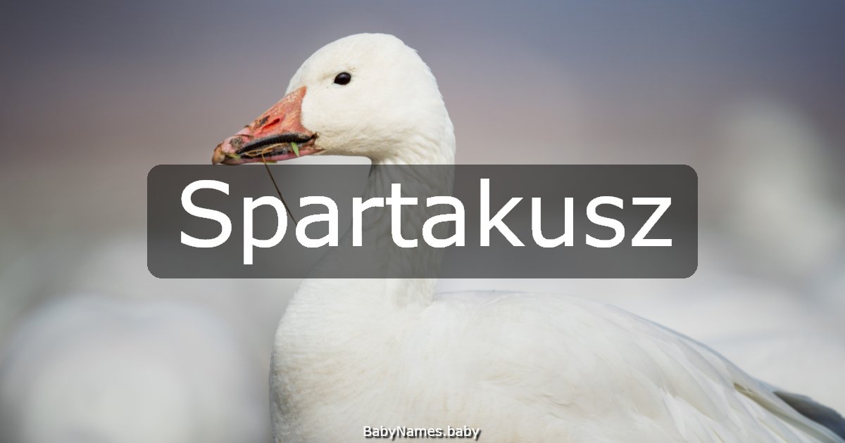 Spartakusz