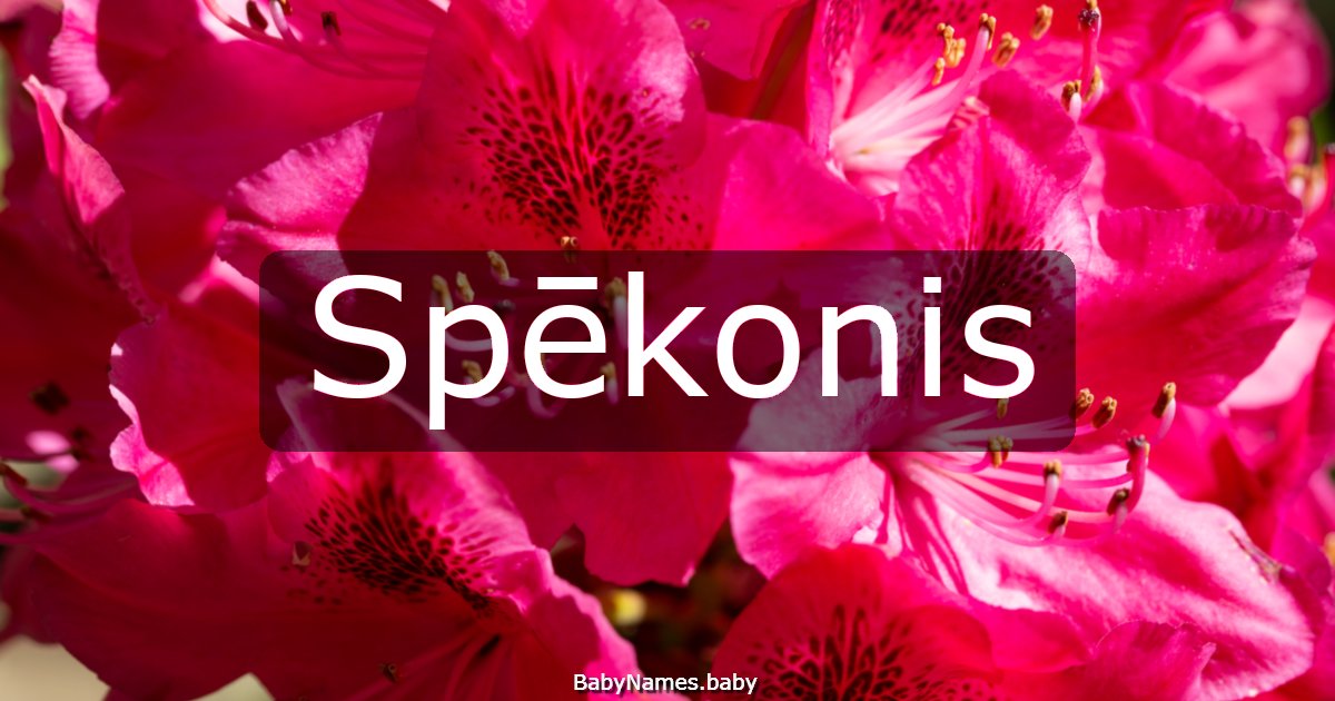 Spēkonis