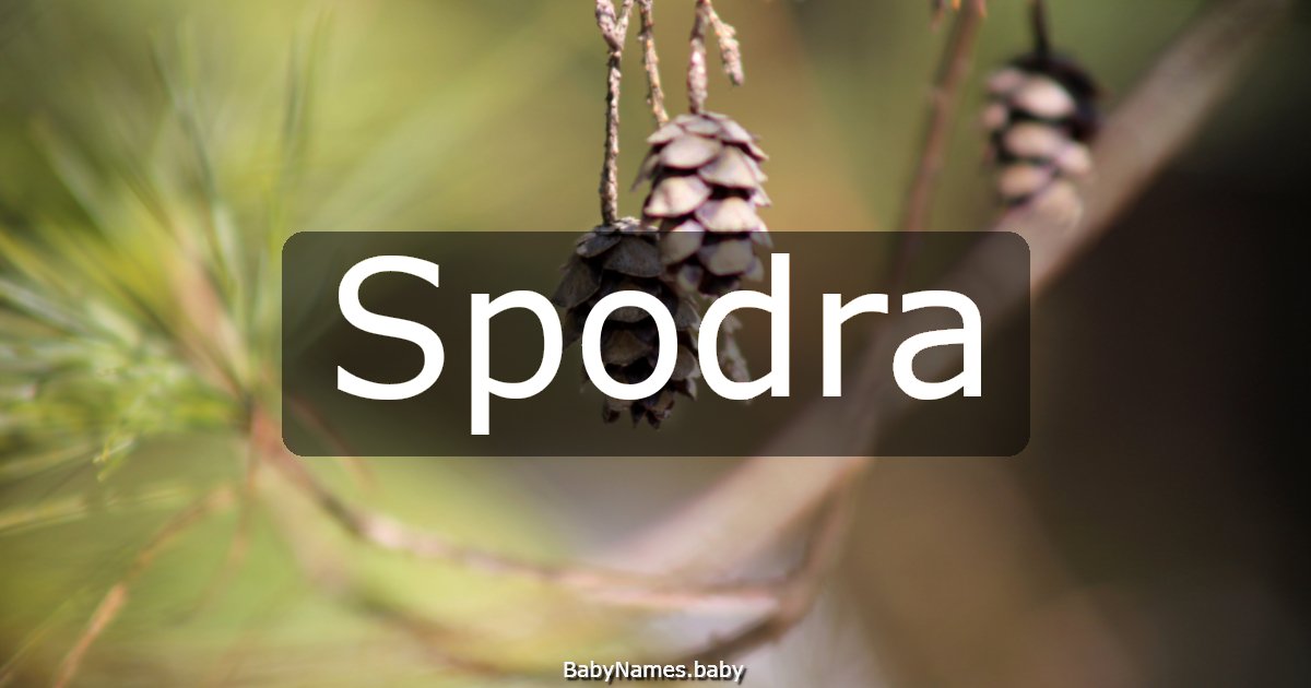 Spodra