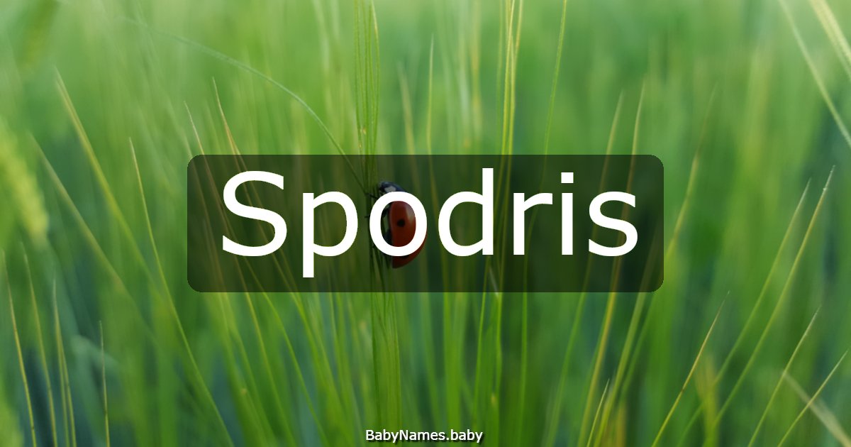 Spodris