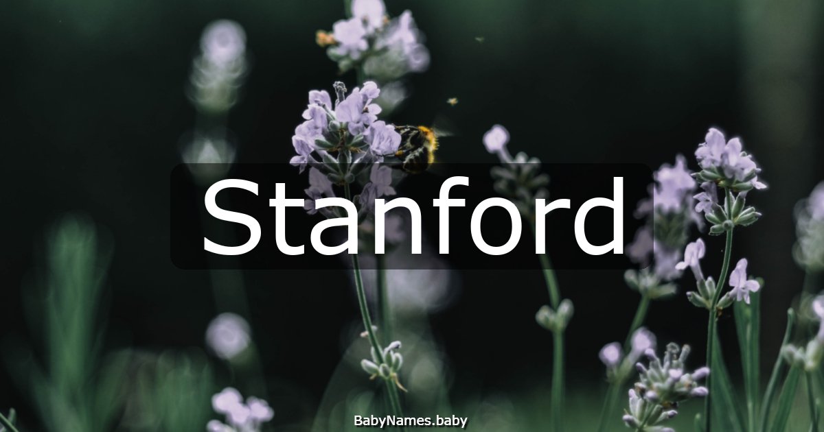 Stanford