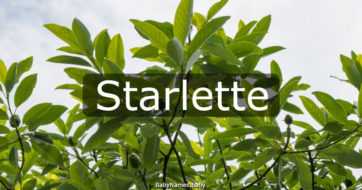 Starlette