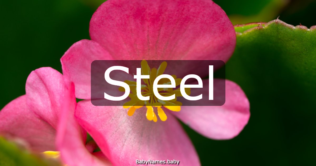 Steel