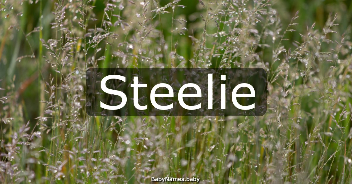 Steelie