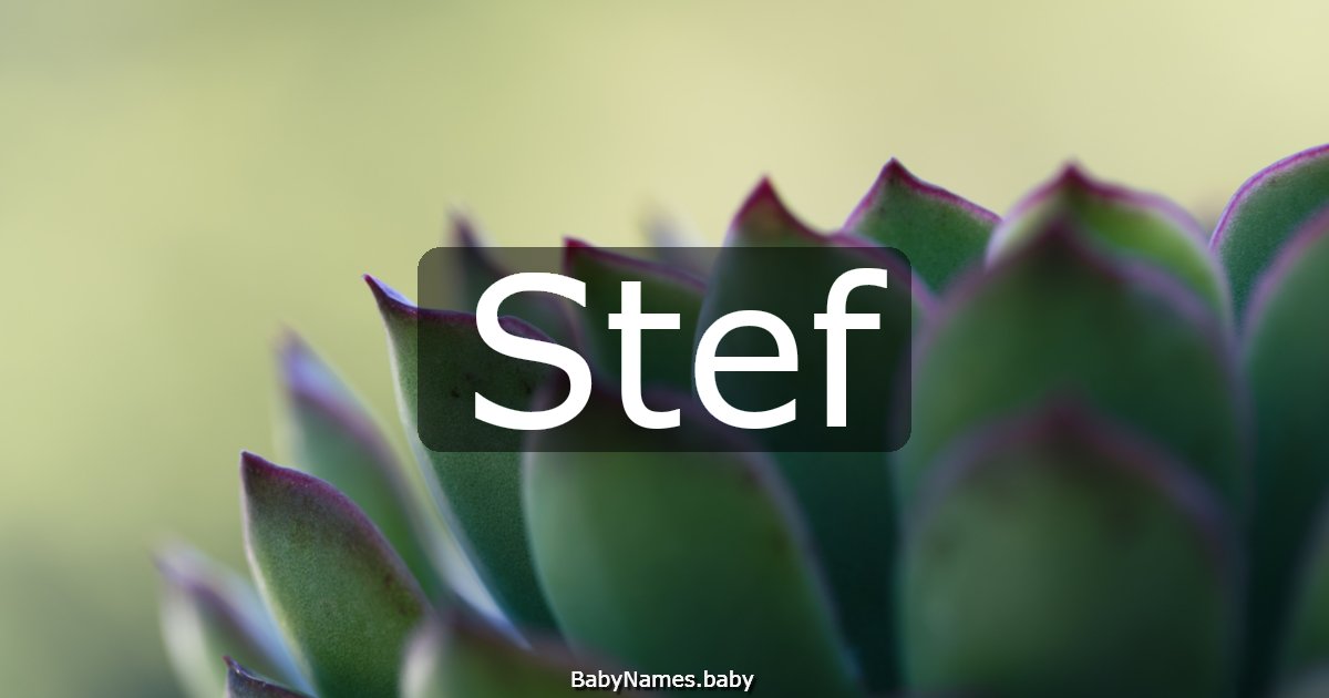 Stef