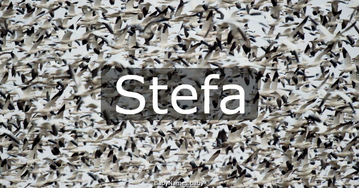 Stefa