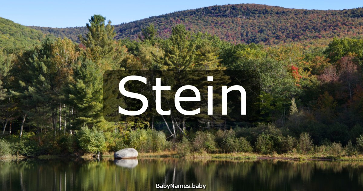 Stein