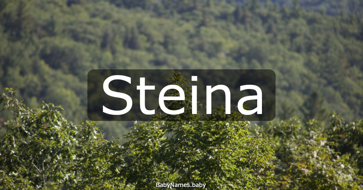 Steina