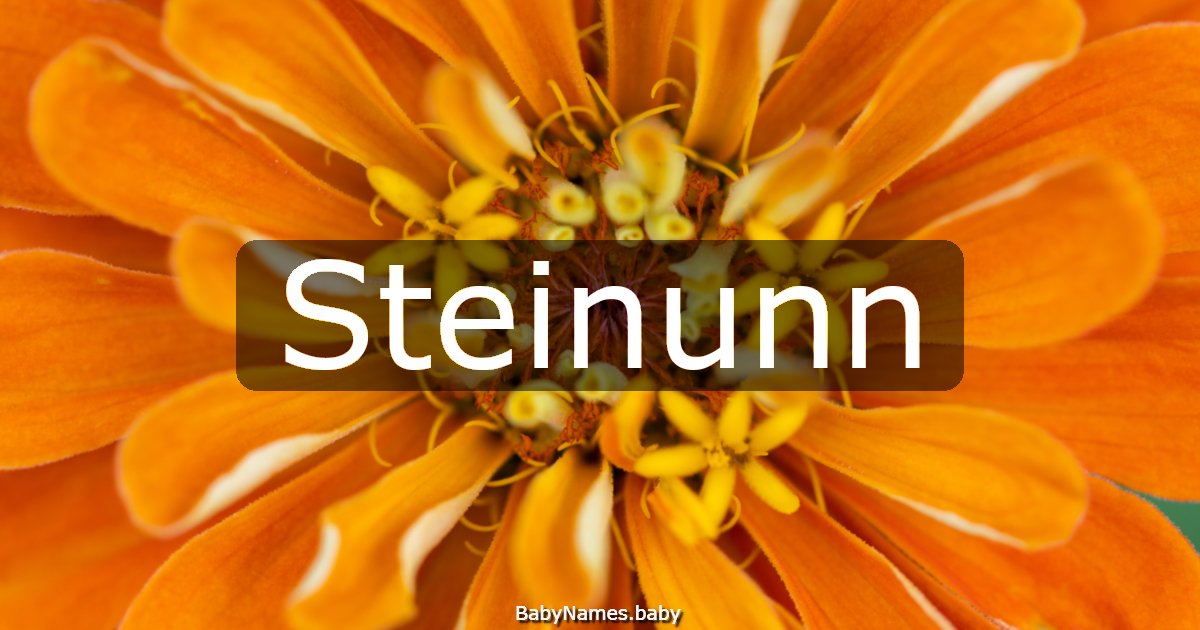 Steinunn